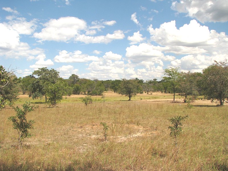 South from the Confluence