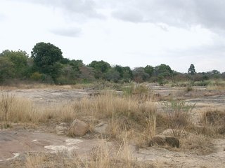 #1: Photograph of general area